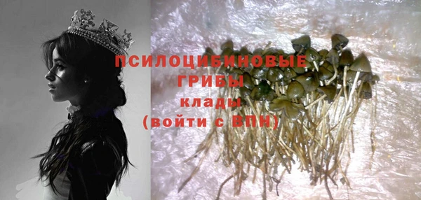 дурь Верея