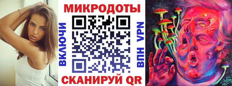 Псилоцибиновые грибы Psilocybe  Ногинск 